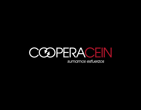 CooperaCein, programa de cooperación entre empresas