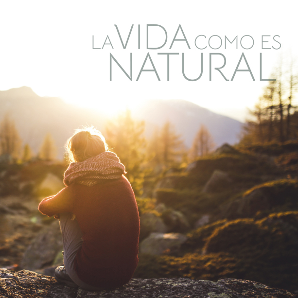 Catálogo ECAY CONSTRUCCIONES